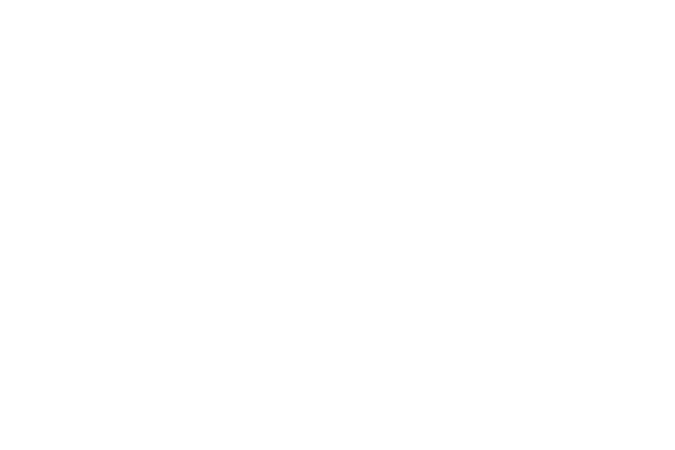 Facing Mayhem